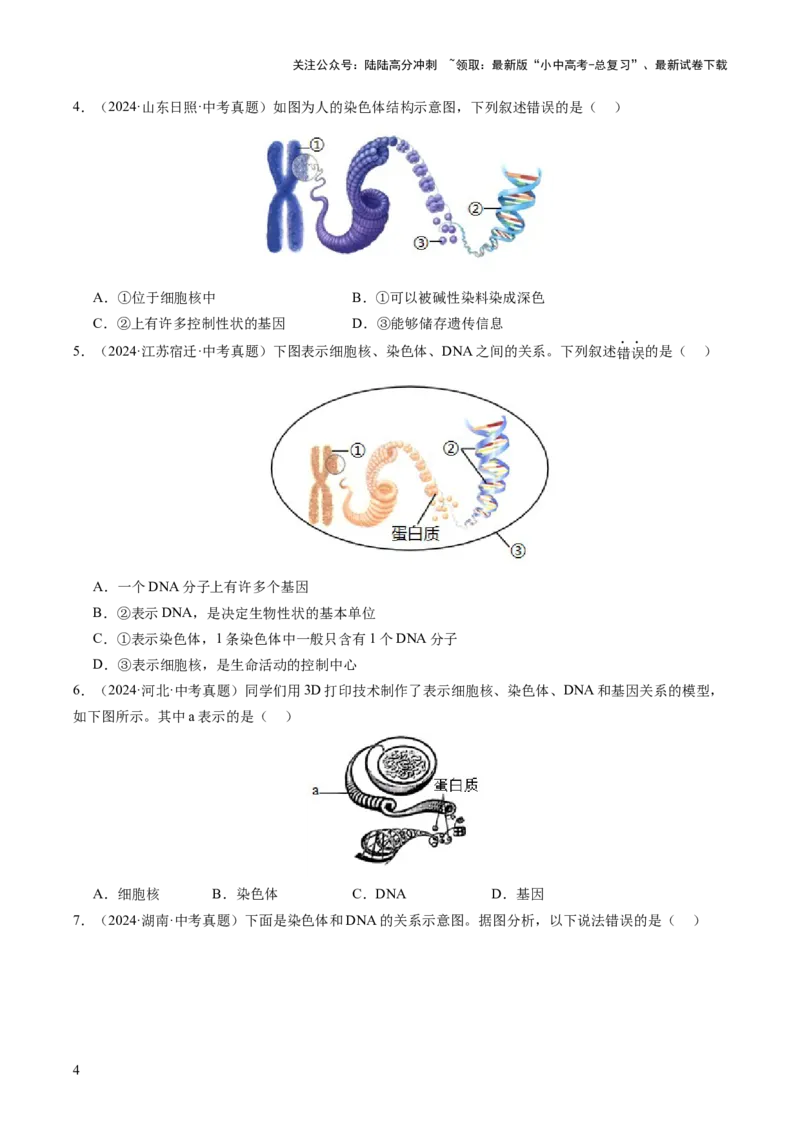 主题六遗传与进化（讲练）（原卷版）_02中考总复习（2026版更新中）_08-生物-中考总复习_2025中考复习资料_2025中考二轮课件ppt+讲义+练习生物_讲义+练习