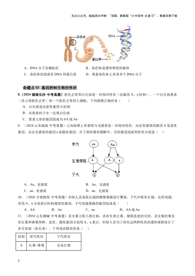 主题六遗传与进化（讲练）（原卷版）_02中考总复习（2026版更新中）_08-生物-中考总复习_2025中考复习资料_2025中考二轮课件ppt+讲义+练习生物_讲义+练习