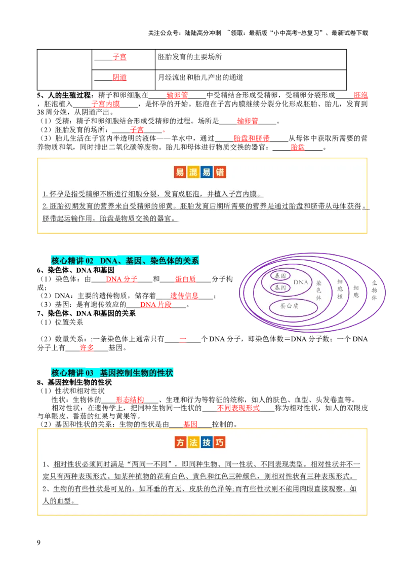 主题六遗传与进化（讲练）（原卷版）_02中考总复习（2026版更新中）_08-生物-中考总复习_2025中考复习资料_2025中考二轮课件ppt+讲义+练习生物_讲义+练习