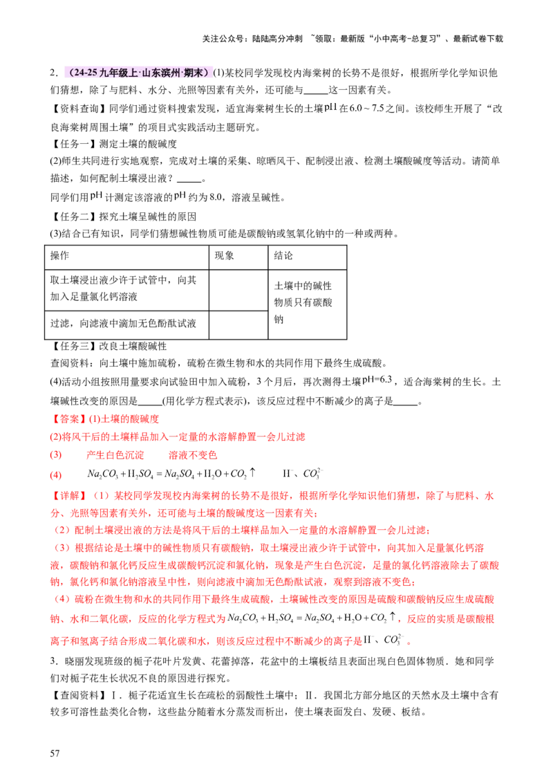 主题六跨学科实践活动（讲练）（解析版）_02中考总复习（2026版更新中）_05-化学-中考总复习_2025年中考复习资料_2025中考二轮课件ppt+讲义+练习化学_讲义+练习