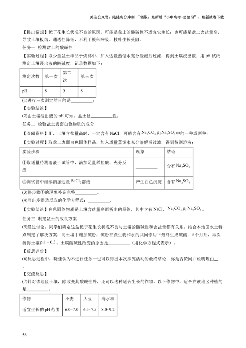 主题六跨学科实践活动（讲练）（解析版）_02中考总复习（2026版更新中）_05-化学-中考总复习_2025年中考复习资料_2025中考二轮课件ppt+讲义+练习化学_讲义+练习