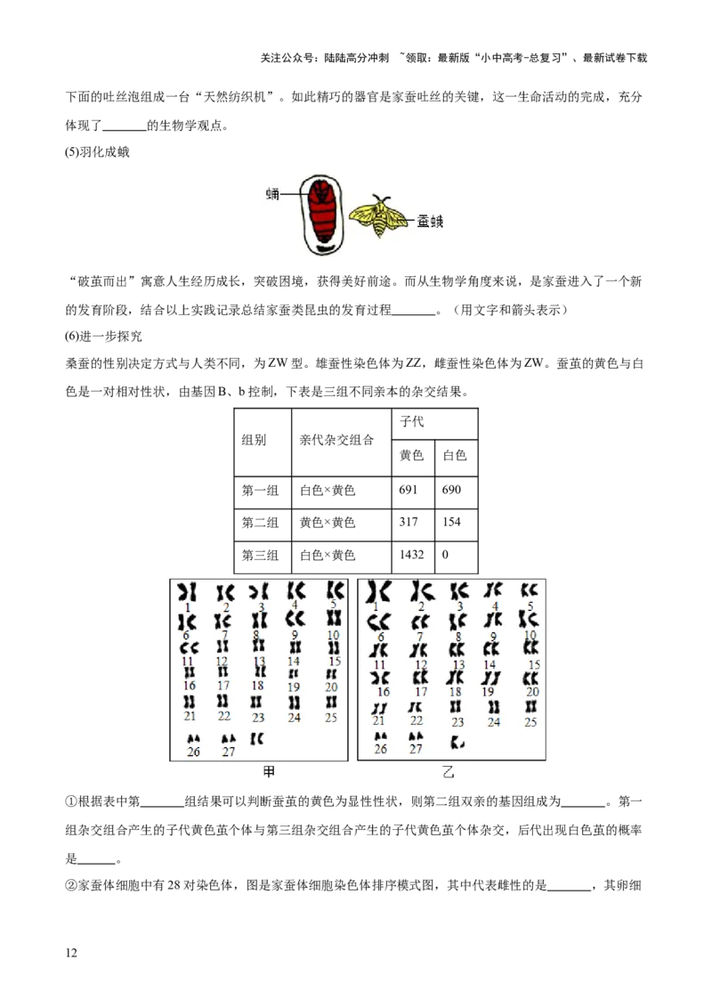 主题七生物学与社会&middot;跨学科实践（测试）（原卷版）_02中考总复习（2026版更新中）_08-生物-中考总复习_2025中考复习资料_2025中考二轮课件ppt+讲义+练习生物_测试