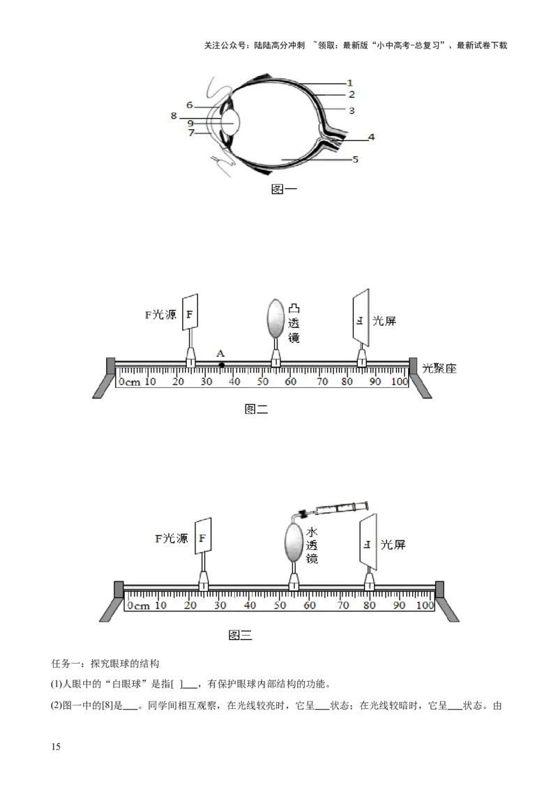 主题七生物学与社会&middot;跨学科实践（测试）（原卷版）_02中考总复习（2026版更新中）_08-生物-中考总复习_2025中考复习资料_2025中考二轮课件ppt+讲义+练习生物_测试