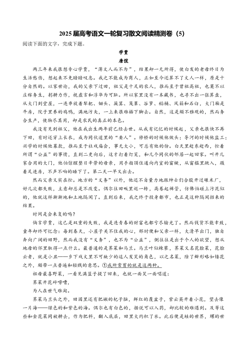 2025届高考语文一轮复习散文阅读精测卷（5）（含答案）(1)_1.2025语文总复习_2025年新高考资料_一轮复习_2025届高考语文一轮复习散文阅读精测卷（含答案）（完结）