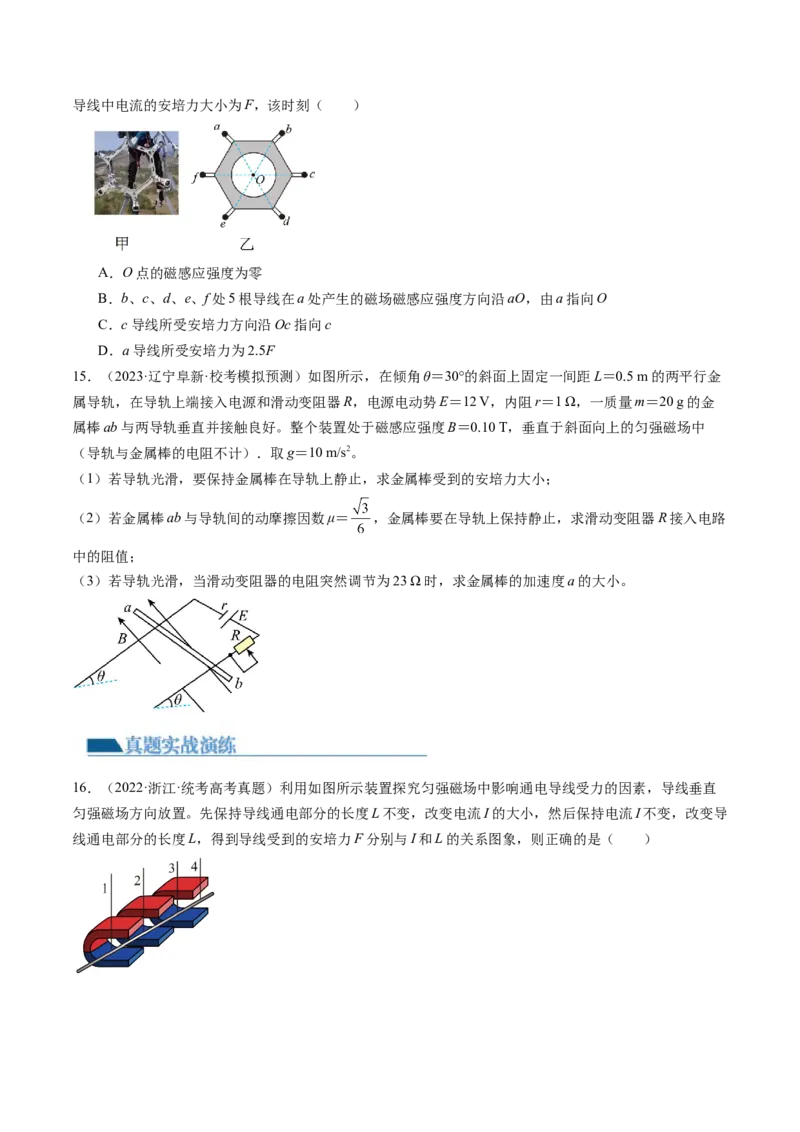 第49讲磁场及其对电流的作用（练习）（原卷版）_4.2025物理总复习_2024年新高考资料_1.2024一轮复习_2024年高考物理一轮复习讲练测（新教材新高考）_第49讲磁场及其对电流的作用（练习）