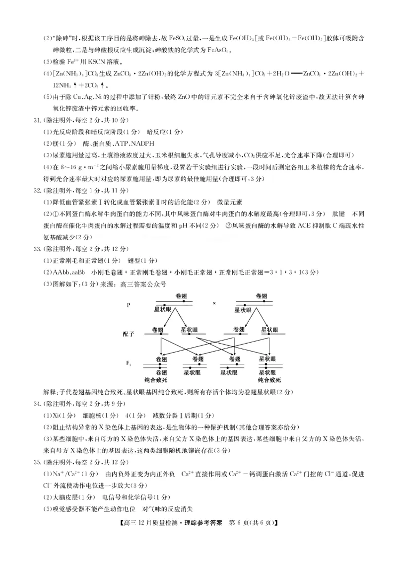 理综答案_4.2025物理总复习_2023年新高复习资料_3物理高考模拟题_新高考_2023届九师联盟高三12月联考质量检测理综_2023届九师联盟高三12月联考质量检测理综