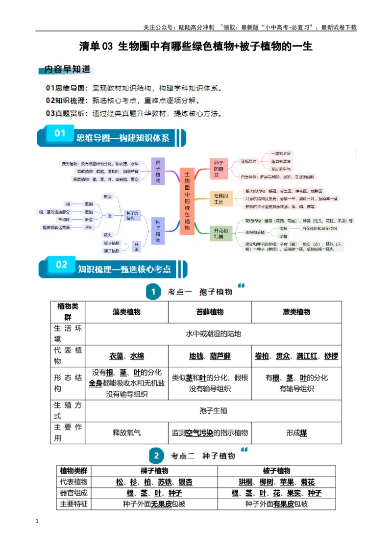 清单03生物圈中有哪些绿色植物+被子植物的一生（6大考点+6大高频命题点）（学生版）_02中考总复习（2026版更新中）_08-生物-中考总复习_2024年中考复习资料_一轮复习