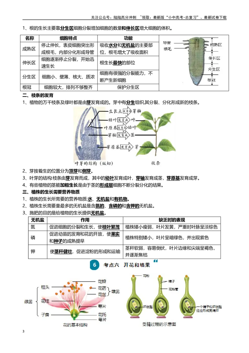 清单03生物圈中有哪些绿色植物+被子植物的一生（6大考点+6大高频命题点）（学生版）_02中考总复习（2026版更新中）_08-生物-中考总复习_2024年中考复习资料_一轮复习