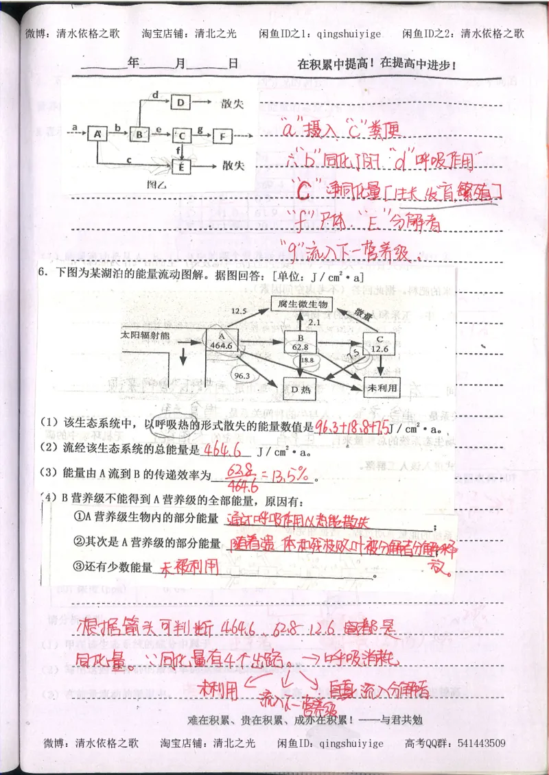 3.衡水中学高考积累与改错_高二生物（第1本）_138页_高中衡水学霸笔记_高中全部赠品_错题集高中九科_生物积累与改错