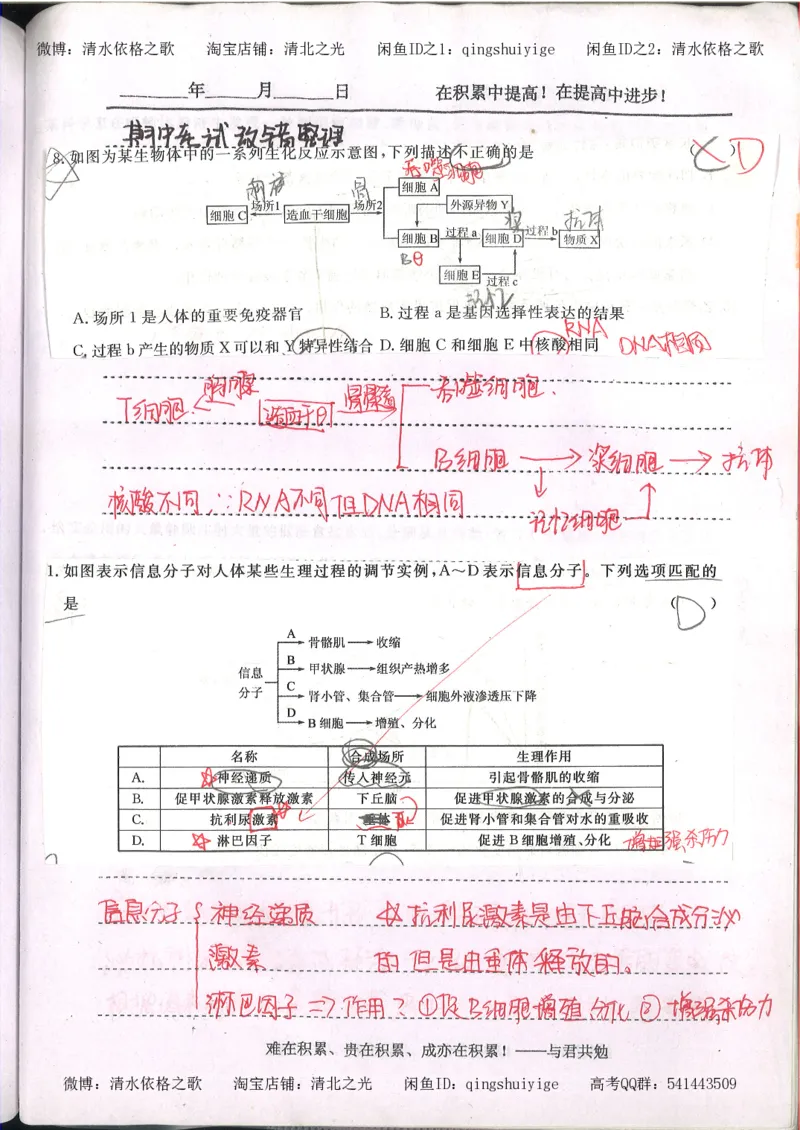 3.衡水中学高考积累与改错_高二生物（第1本）_138页_高中衡水学霸笔记_高中全部赠品_错题集高中九科_生物积累与改错
