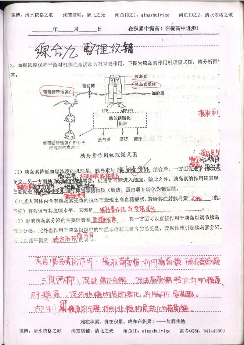 3.衡水中学高考积累与改错_高二生物（第1本）_138页_高中衡水学霸笔记_高中全部赠品_错题集高中九科_生物积累与改错