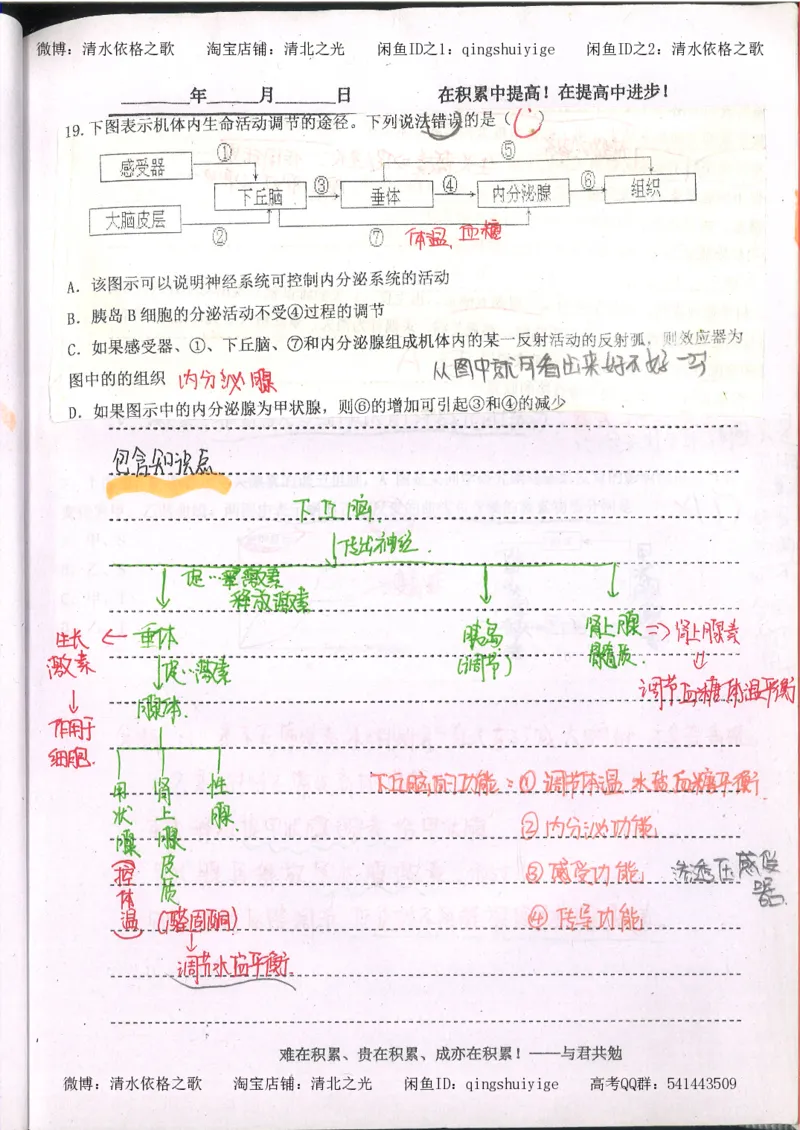 3.衡水中学高考积累与改错_高二生物（第1本）_138页_高中衡水学霸笔记_高中全部赠品_错题集高中九科_生物积累与改错