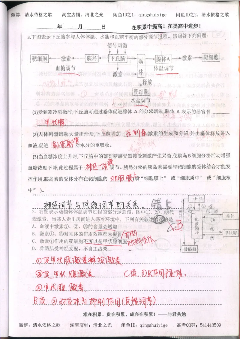 3.衡水中学高考积累与改错_高二生物（第1本）_138页_高中衡水学霸笔记_高中全部赠品_错题集高中九科_生物积累与改错