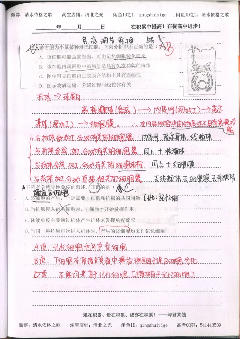 3.衡水中学高考积累与改错_高二生物（第1本）_138页_高中衡水学霸笔记_高中全部赠品_错题集高中九科_生物积累与改错