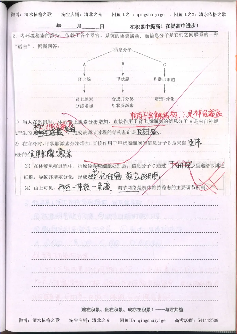 3.衡水中学高考积累与改错_高二生物（第1本）_138页_高中衡水学霸笔记_高中全部赠品_错题集高中九科_生物积累与改错