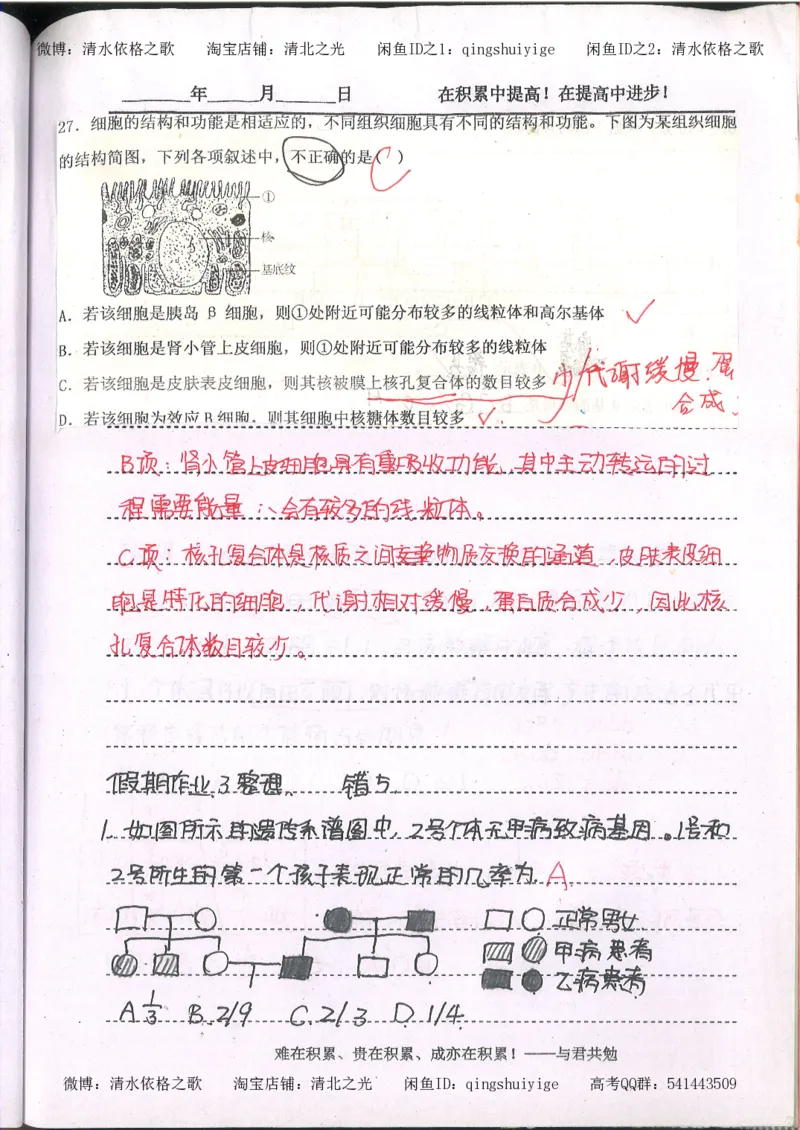 3.衡水中学高考积累与改错_高二生物（第1本）_138页_高中衡水学霸笔记_高中全部赠品_错题集高中九科_生物积累与改错