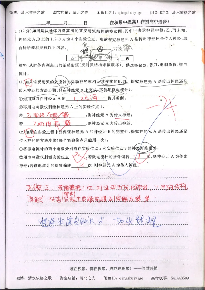 3.衡水中学高考积累与改错_高二生物（第1本）_138页_高中衡水学霸笔记_高中全部赠品_错题集高中九科_生物积累与改错