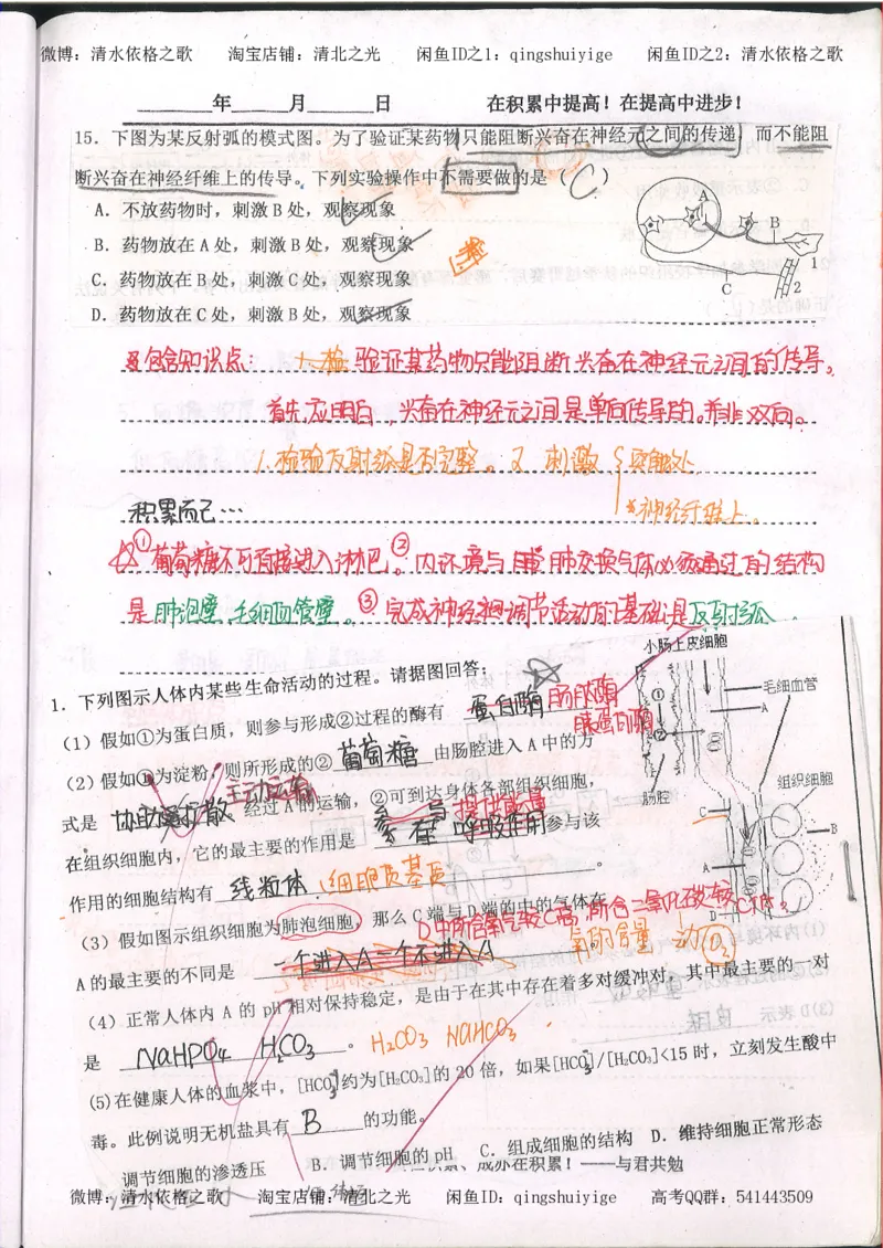 3.衡水中学高考积累与改错_高二生物（第1本）_138页_高中衡水学霸笔记_高中全部赠品_错题集高中九科_生物积累与改错