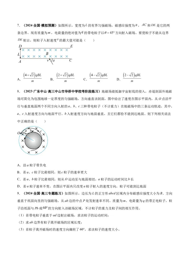 专题12磁场的性质带电粒子在磁场中的运动（原卷版）_4.2025物理总复习_2024年新高考资料_2.2024二轮复习_2024年高考物理二轮热点题型归纳与变式演练（新高考通用）
