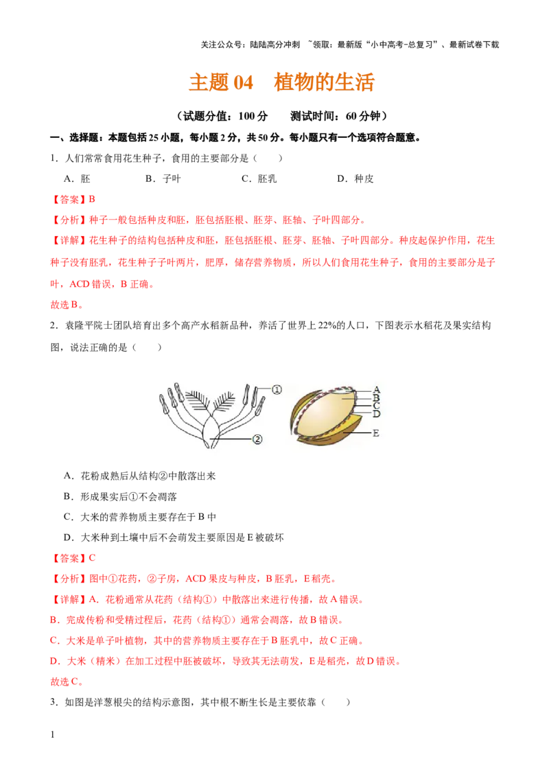 主题四植物的生活（测试）（解析版）_02中考总复习（2026版更新中）_08-生物-中考总复习_2025中考复习资料_2025中考二轮课件ppt+讲义+练习生物_测试