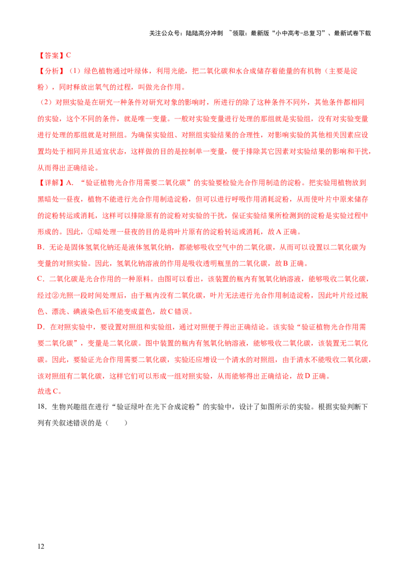 主题四植物的生活（测试）（解析版）_02中考总复习（2026版更新中）_08-生物-中考总复习_2025中考复习资料_2025中考二轮课件ppt+讲义+练习生物_测试