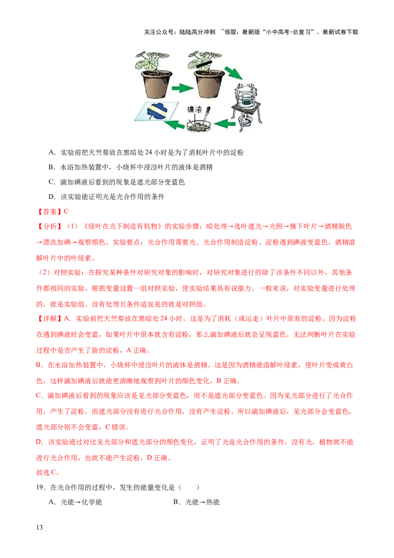 主题四植物的生活（测试）（解析版）_02中考总复习（2026版更新中）_08-生物-中考总复习_2025中考复习资料_2025中考二轮课件ppt+讲义+练习生物_测试