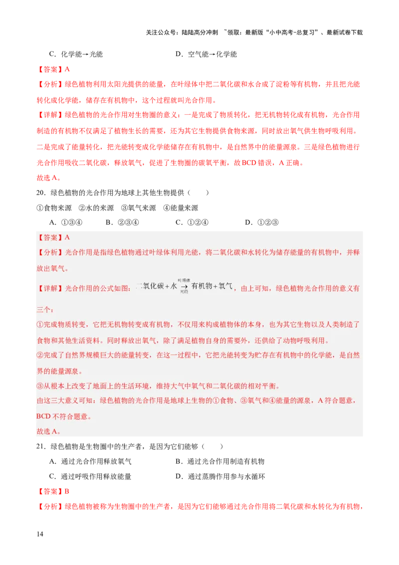 主题四植物的生活（测试）（解析版）_02中考总复习（2026版更新中）_08-生物-中考总复习_2025中考复习资料_2025中考二轮课件ppt+讲义+练习生物_测试