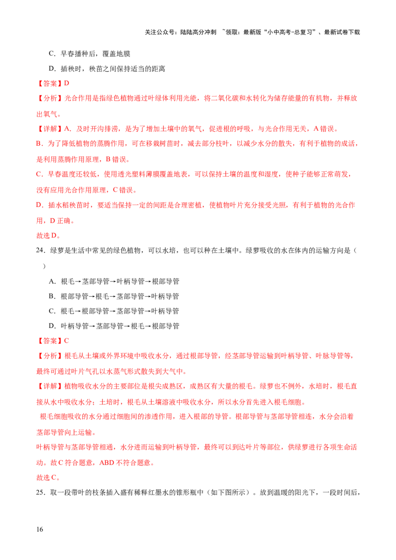 主题四植物的生活（测试）（解析版）_02中考总复习（2026版更新中）_08-生物-中考总复习_2025中考复习资料_2025中考二轮课件ppt+讲义+练习生物_测试