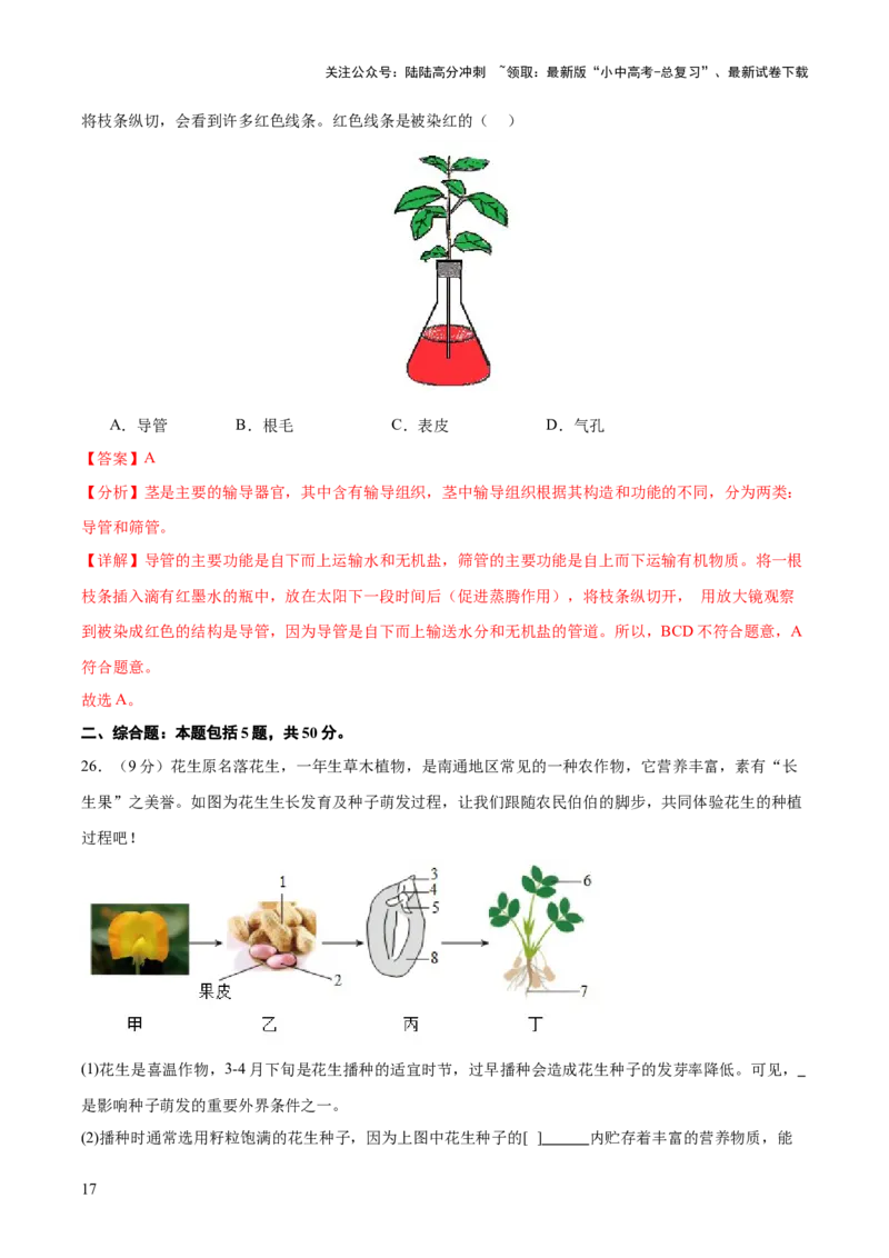 主题四植物的生活（测试）（解析版）_02中考总复习（2026版更新中）_08-生物-中考总复习_2025中考复习资料_2025中考二轮课件ppt+讲义+练习生物_测试