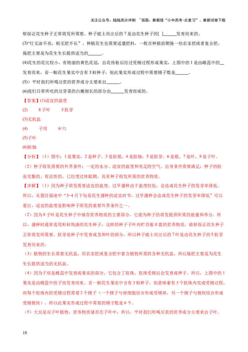 主题四植物的生活（测试）（解析版）_02中考总复习（2026版更新中）_08-生物-中考总复习_2025中考复习资料_2025中考二轮课件ppt+讲义+练习生物_测试