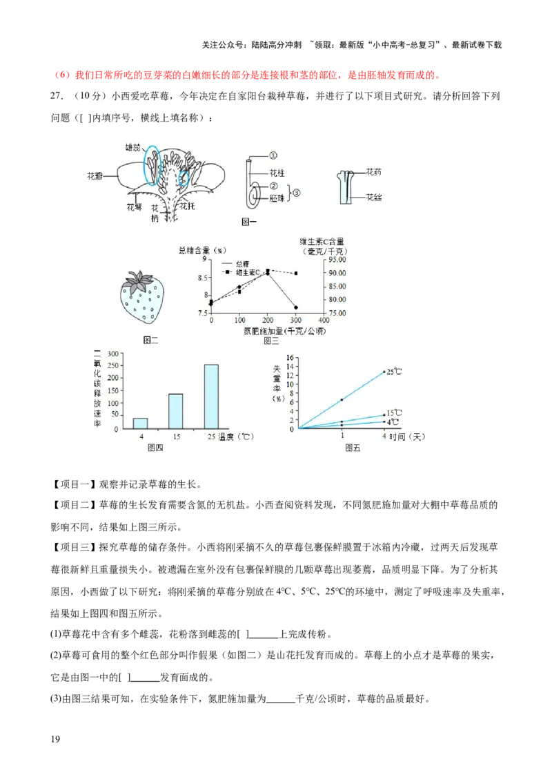 主题四植物的生活（测试）（解析版）_02中考总复习（2026版更新中）_08-生物-中考总复习_2025中考复习资料_2025中考二轮课件ppt+讲义+练习生物_测试