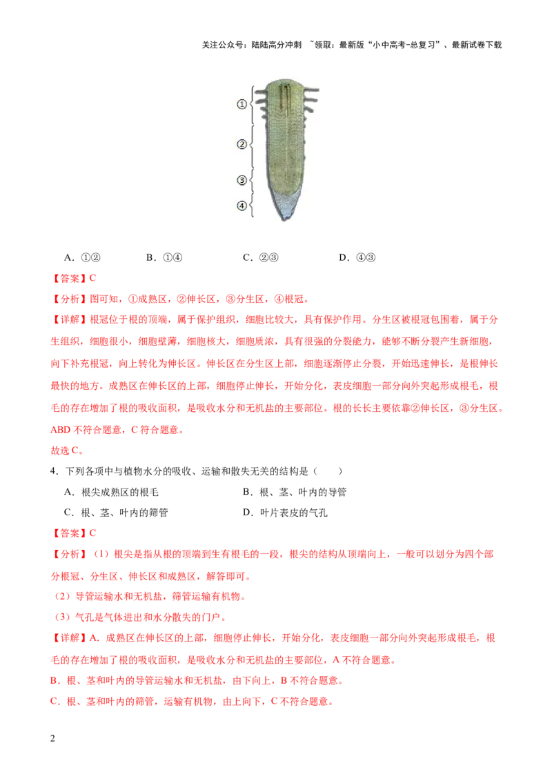 主题四植物的生活（测试）（解析版）_02中考总复习（2026版更新中）_08-生物-中考总复习_2025中考复习资料_2025中考二轮课件ppt+讲义+练习生物_测试