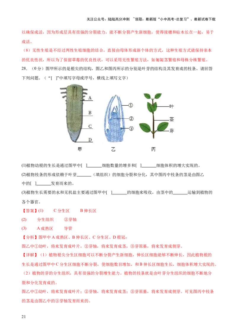 主题四植物的生活（测试）（解析版）_02中考总复习（2026版更新中）_08-生物-中考总复习_2025中考复习资料_2025中考二轮课件ppt+讲义+练习生物_测试