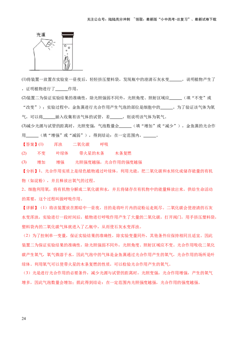 主题四植物的生活（测试）（解析版）_02中考总复习（2026版更新中）_08-生物-中考总复习_2025中考复习资料_2025中考二轮课件ppt+讲义+练习生物_测试