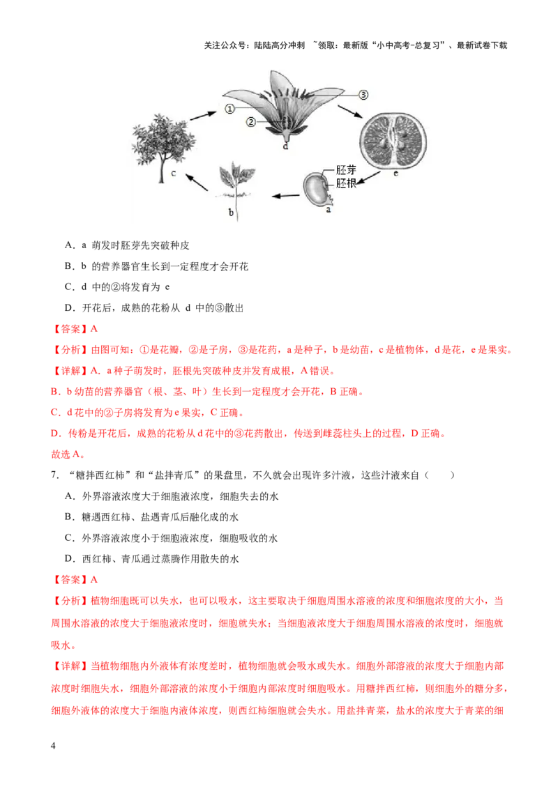 主题四植物的生活（测试）（解析版）_02中考总复习（2026版更新中）_08-生物-中考总复习_2025中考复习资料_2025中考二轮课件ppt+讲义+练习生物_测试