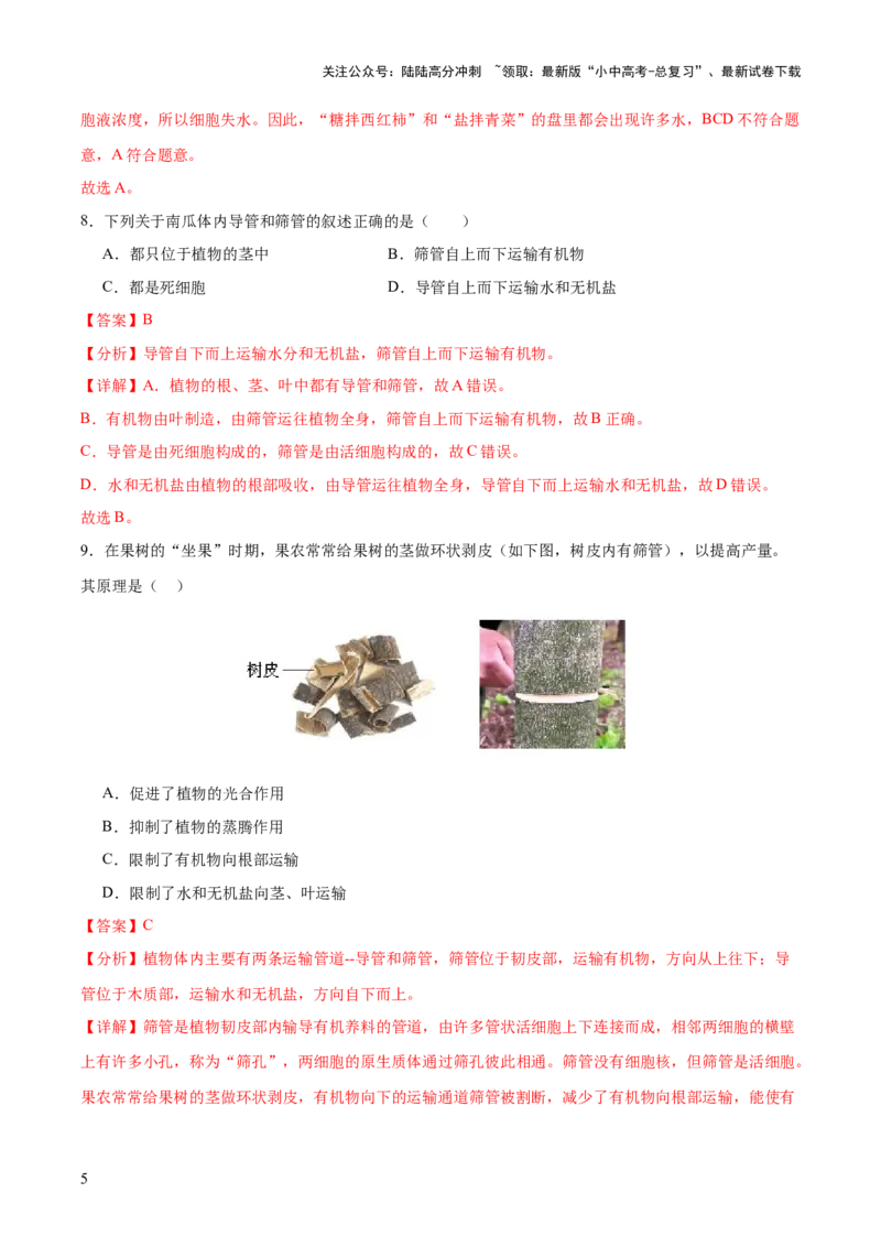 主题四植物的生活（测试）（解析版）_02中考总复习（2026版更新中）_08-生物-中考总复习_2025中考复习资料_2025中考二轮课件ppt+讲义+练习生物_测试