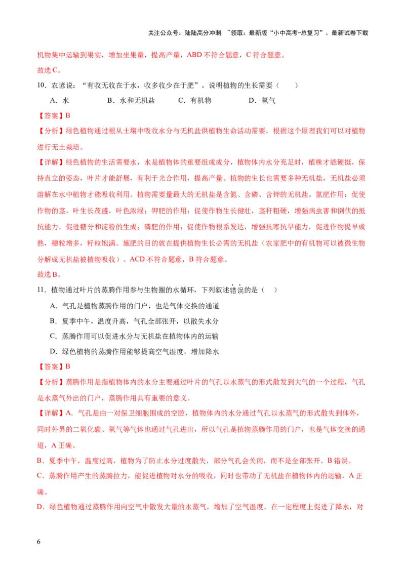 主题四植物的生活（测试）（解析版）_02中考总复习（2026版更新中）_08-生物-中考总复习_2025中考复习资料_2025中考二轮课件ppt+讲义+练习生物_测试