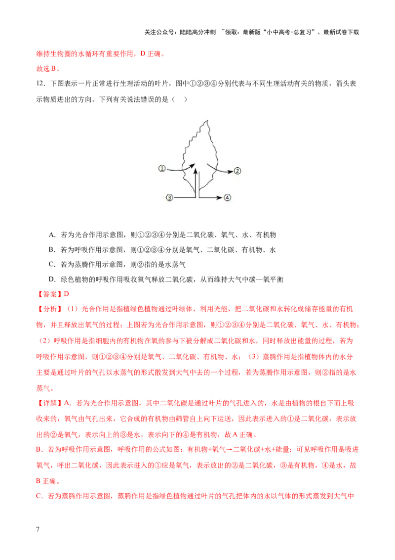 主题四植物的生活（测试）（解析版）_02中考总复习（2026版更新中）_08-生物-中考总复习_2025中考复习资料_2025中考二轮课件ppt+讲义+练习生物_测试