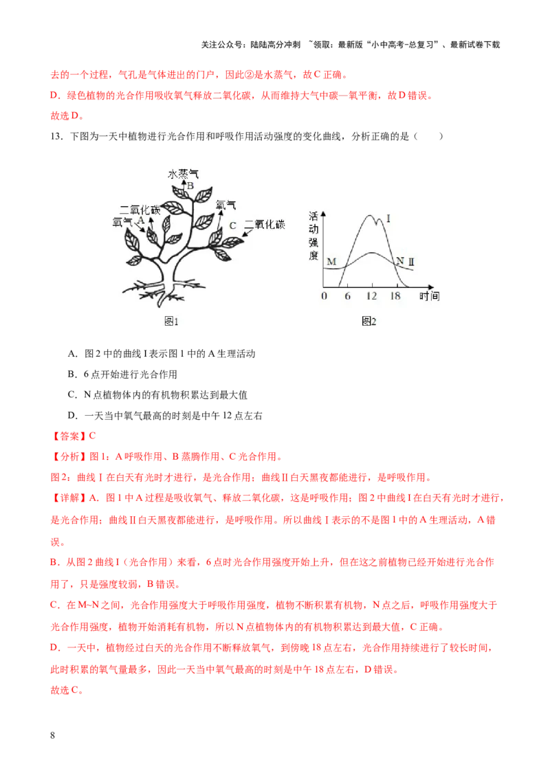 主题四植物的生活（测试）（解析版）_02中考总复习（2026版更新中）_08-生物-中考总复习_2025中考复习资料_2025中考二轮课件ppt+讲义+练习生物_测试