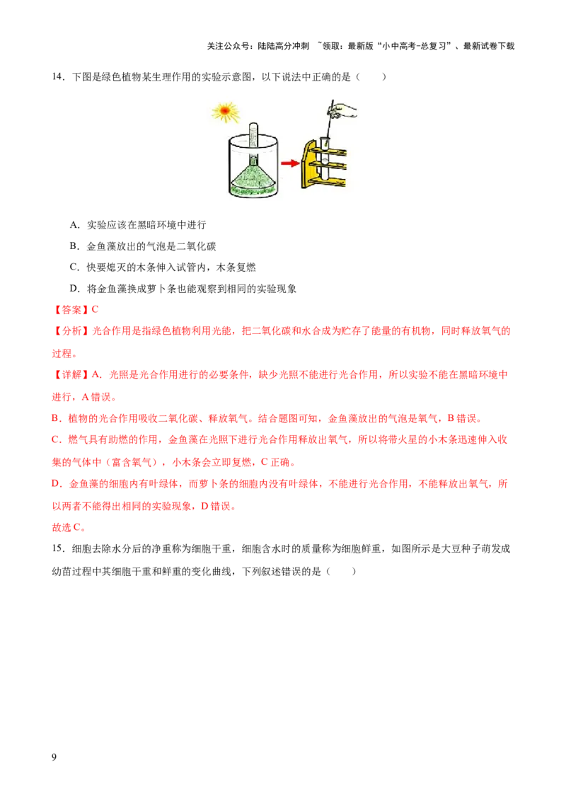 主题四植物的生活（测试）（解析版）_02中考总复习（2026版更新中）_08-生物-中考总复习_2025中考复习资料_2025中考二轮课件ppt+讲义+练习生物_测试