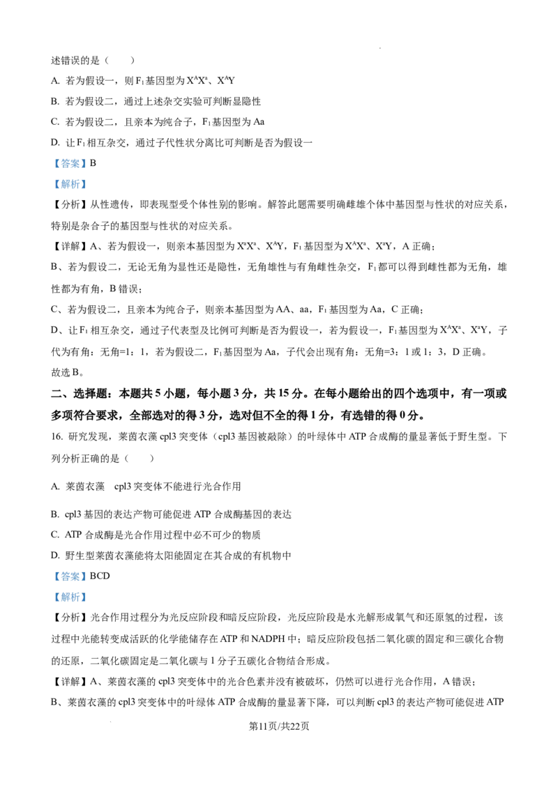 黑龙江省绥化市绥棱县第一中学2024-2025学年高三上学期10月月考生物试题答案_A1502026各地模拟卷（超值！）_10月_241022黑龙江省绥化市绥棱县第一中学2024-2025学年高三上学期10月月考