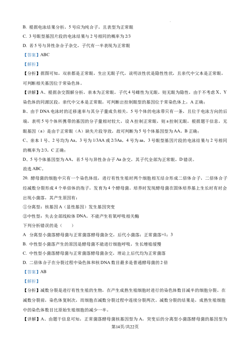 黑龙江省绥化市绥棱县第一中学2024-2025学年高三上学期10月月考生物试题答案_A1502026各地模拟卷（超值！）_10月_241022黑龙江省绥化市绥棱县第一中学2024-2025学年高三上学期10月月考