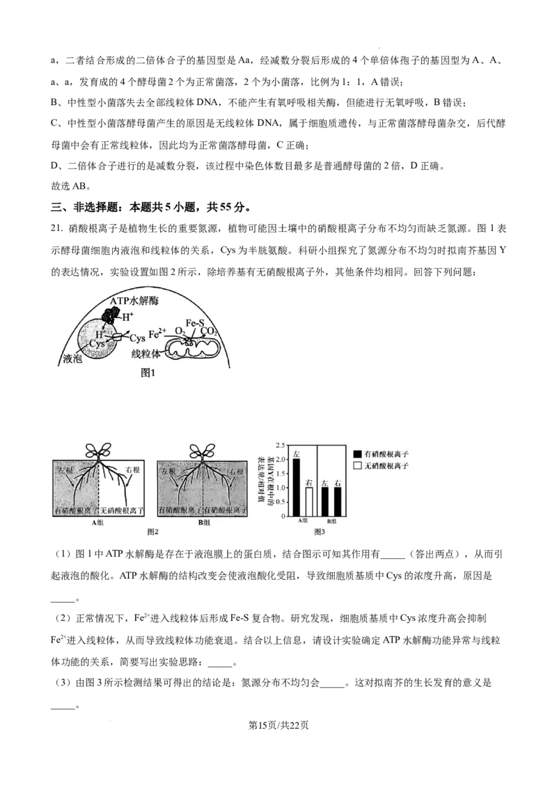 黑龙江省绥化市绥棱县第一中学2024-2025学年高三上学期10月月考生物试题答案_A1502026各地模拟卷（超值！）_10月_241022黑龙江省绥化市绥棱县第一中学2024-2025学年高三上学期10月月考