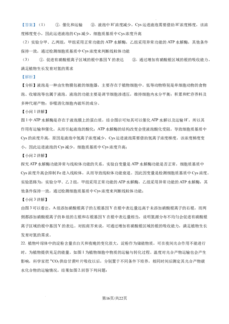 黑龙江省绥化市绥棱县第一中学2024-2025学年高三上学期10月月考生物试题答案_A1502026各地模拟卷（超值！）_10月_241022黑龙江省绥化市绥棱县第一中学2024-2025学年高三上学期10月月考