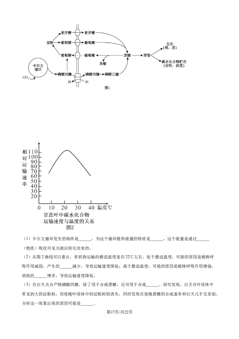 黑龙江省绥化市绥棱县第一中学2024-2025学年高三上学期10月月考生物试题答案_A1502026各地模拟卷（超值！）_10月_241022黑龙江省绥化市绥棱县第一中学2024-2025学年高三上学期10月月考
