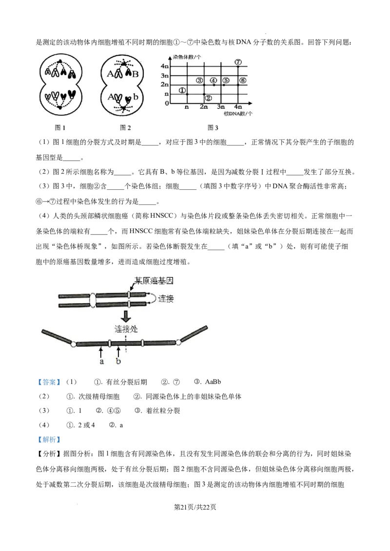 黑龙江省绥化市绥棱县第一中学2024-2025学年高三上学期10月月考生物试题答案_A1502026各地模拟卷（超值！）_10月_241022黑龙江省绥化市绥棱县第一中学2024-2025学年高三上学期10月月考
