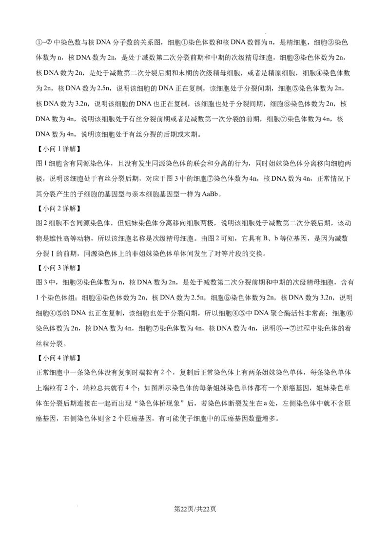 黑龙江省绥化市绥棱县第一中学2024-2025学年高三上学期10月月考生物试题答案_A1502026各地模拟卷（超值！）_10月_241022黑龙江省绥化市绥棱县第一中学2024-2025学年高三上学期10月月考