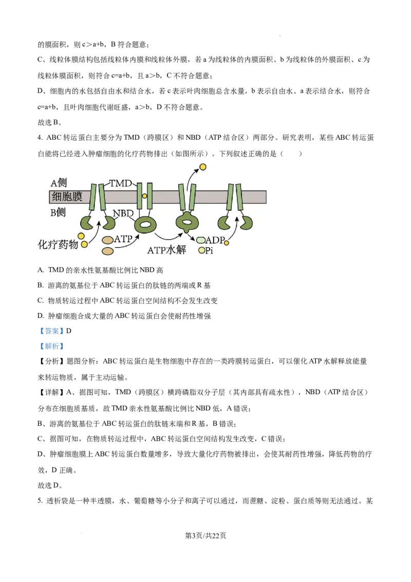 黑龙江省绥化市绥棱县第一中学2024-2025学年高三上学期10月月考生物试题答案_A1502026各地模拟卷（超值！）_10月_241022黑龙江省绥化市绥棱县第一中学2024-2025学年高三上学期10月月考