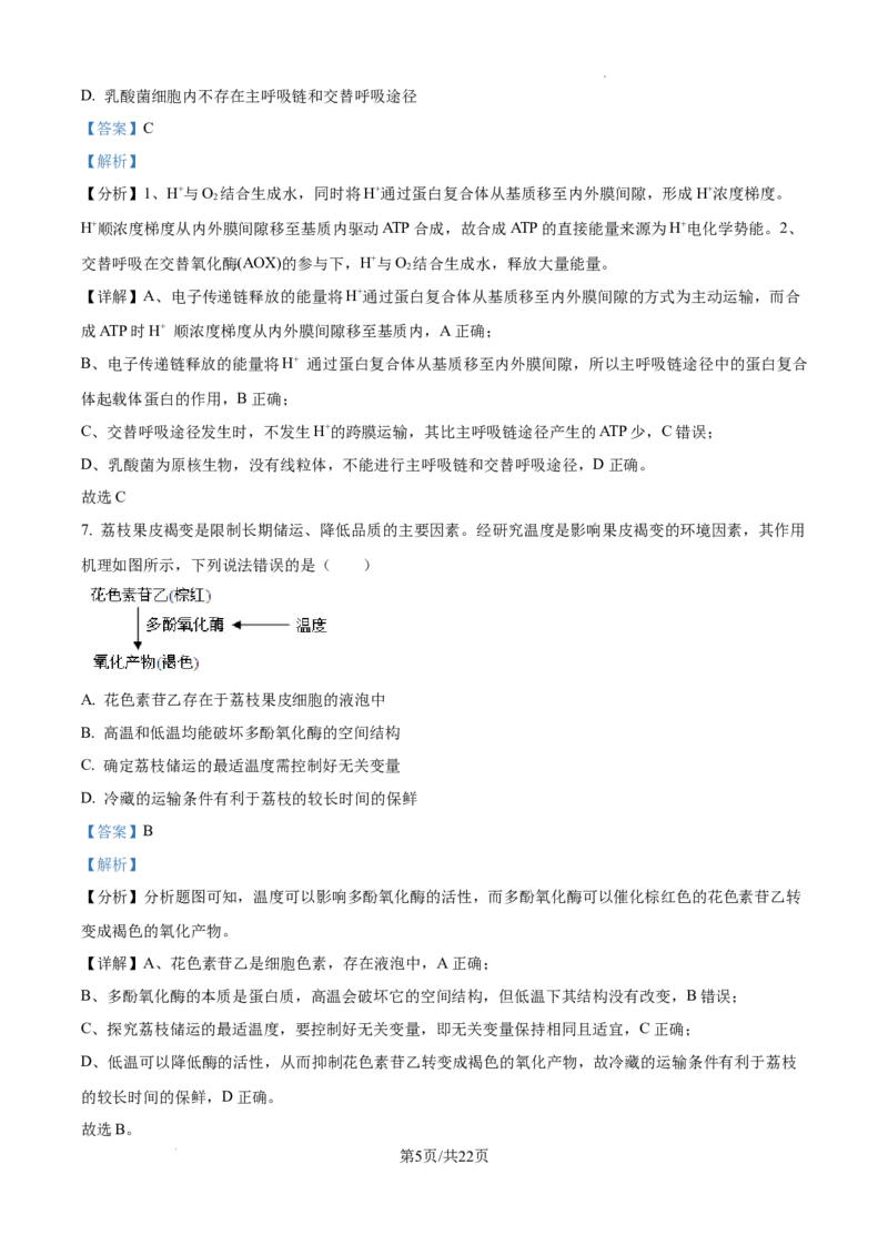 黑龙江省绥化市绥棱县第一中学2024-2025学年高三上学期10月月考生物试题答案_A1502026各地模拟卷（超值！）_10月_241022黑龙江省绥化市绥棱县第一中学2024-2025学年高三上学期10月月考