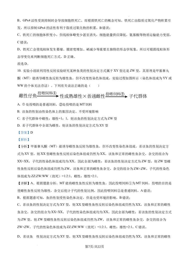 黑龙江省绥化市绥棱县第一中学2024-2025学年高三上学期10月月考生物试题答案_A1502026各地模拟卷（超值！）_10月_241022黑龙江省绥化市绥棱县第一中学2024-2025学年高三上学期10月月考